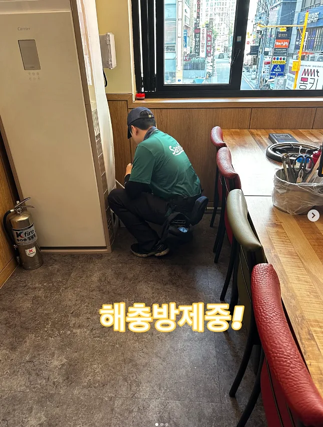 조개진 콘텐츠 사진 1